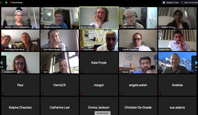 webinar screen shot
